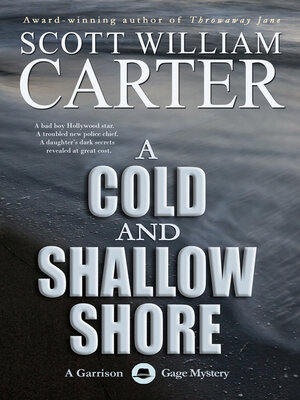 cover image of A Cold and Shallow Shore